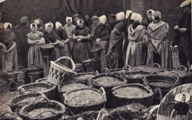 Op de visafslag. De manden staan gereed voor de veiling.