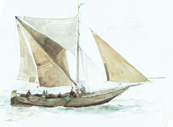 Het op de werf van Meerman gebouwde hoogaarstype.