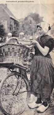 Arnemuids garnalenverkoopstertje.