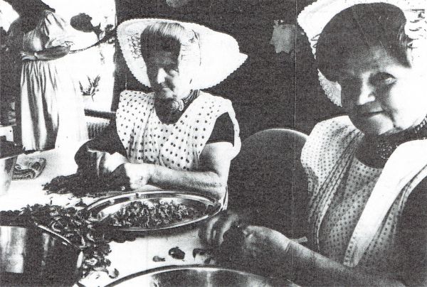 Maar ook het aantal bedreven Arnemuidse garnalenpelsters neemt af. Tijdens de Visserijdagen in Colijnsplaat geven enkele oudgedienden een demonstratie.